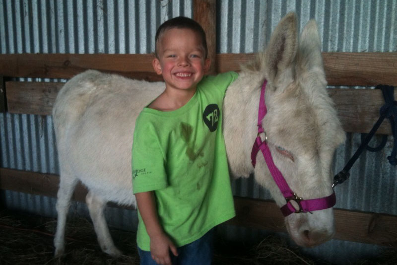 child with a donkey